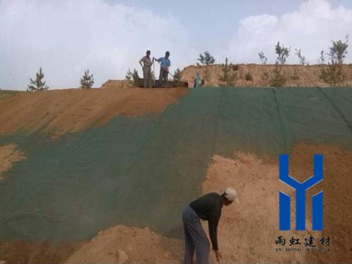 三維植被網(wǎng)http://www.qdcixiu.com.cn/