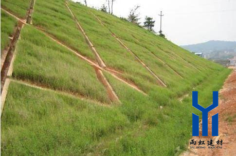 三維植被網(wǎng)http://www.qdcixiu.com.cn/